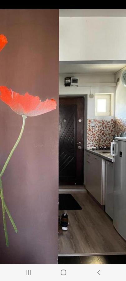 Zenapartment Brasov Luaran gambar