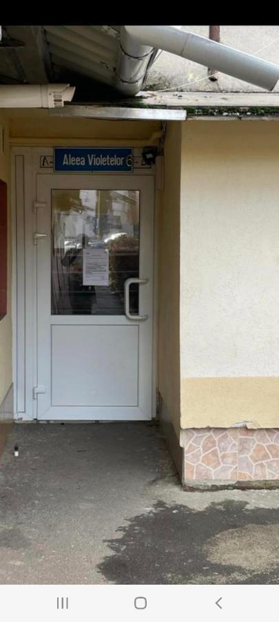 Zenapartment Brasov Luaran gambar