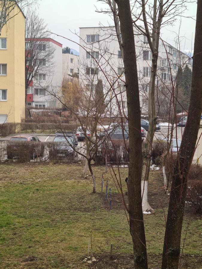 Zenapartment Brasov Luaran gambar